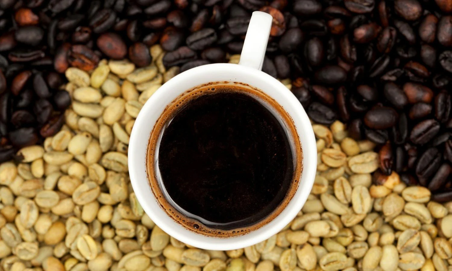 Specialty Coffee